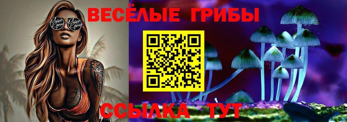 Галлюциногенные грибы MAGIC MUSHROOMS  Вход с VPN  Гатчина 