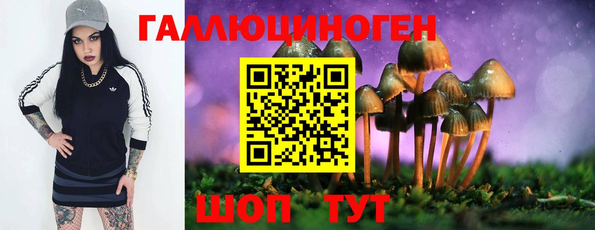 Галлюциногенные грибы Cubensis Гатчина