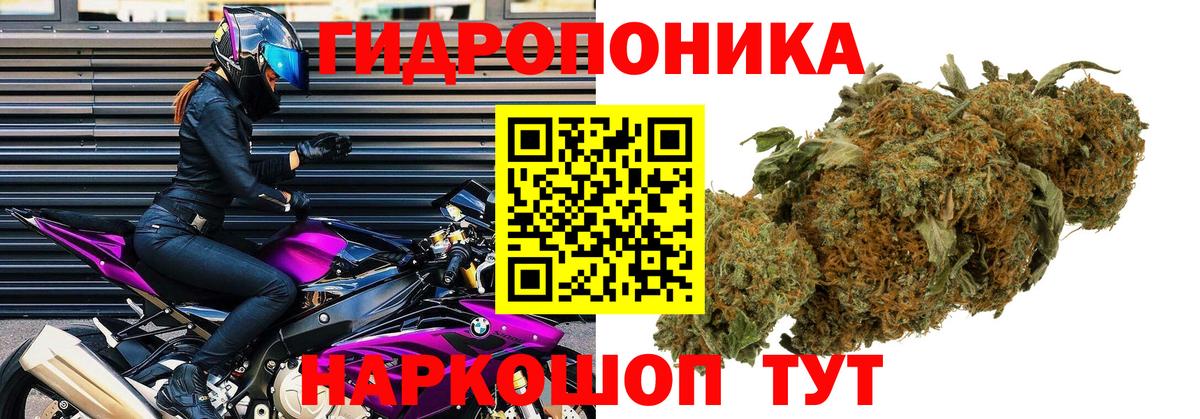 Бошки Шишки LSD WEED Гатчина